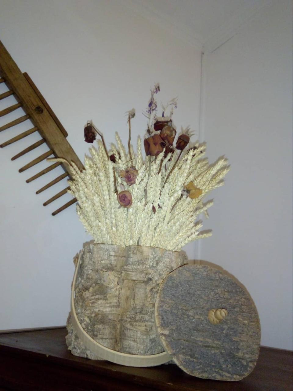 Casa Esquivel Villa Mourao Luaran gambar